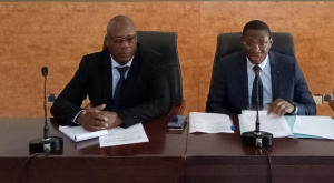 Assurance agricole au Togo : les choses se pr&eacute;cisent