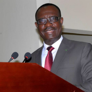 Le pr&eacute;sident de la BIDC : &laquo; les axes strat&eacute;giques du PND font bien partie de notre domaine d&rsquo;intervention &raquo;