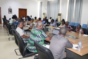 Togo moves to update databases for five crop value chains