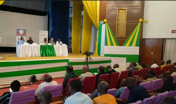 Campagne cotonnière 2024-2025 : au Togo, nouvelle baisse de la production