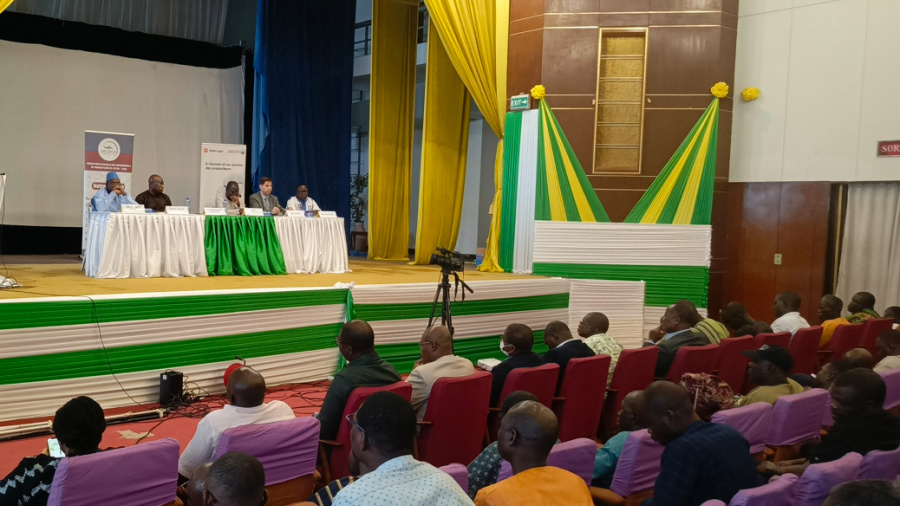 Campagne cotonnière 2024-2025 : au Togo, nouvelle baisse de la production