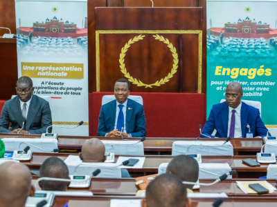 medicaments-falsifies-le-togo-veut-renforcer-son-arsenal-juridique-et-industriel