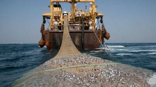 Gulf of Guinea Nations Meet in Lomé to Update Regional Plan Tackling Illegal Fishing