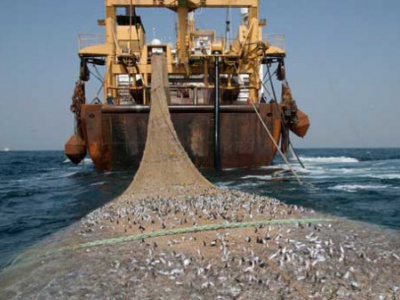 gulf-of-guinea-nations-meet-in-lome-to-update-regional-plan-tackling-illegal-fishing
