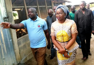 Togo: nouvelle tourn&eacute;e d&rsquo;&eacute;valuation de la mise en &oelig;uvre du PAEIJ-SP