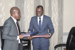 Lutte contre l&rsquo;invasion de la chenille l&eacute;gionnaire d'automne : don d&rsquo;un million de dollars de la BAD et du FAO