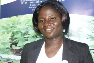 Togo: en 3 ans, le PAIEJ-SP a facilit&eacute; l&rsquo;injection de 300 millions FCFA de cr&eacute;dits dans la fili&egrave;re soja