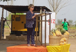 Togo : un coup de pouce de l&rsquo;Ue et de la coop&eacute;ration allemande pour la fili&egrave;re de l&rsquo;ananas