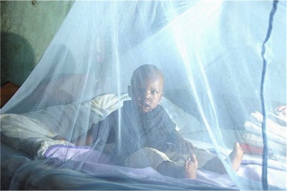 Togo : plus de 500 000 moustiquaires à distribuer en 2025