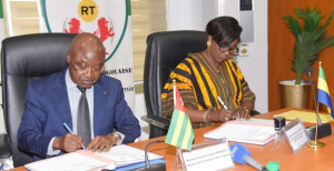 Gabon Enlists Togo’s Expertise to Strengthen Tax Administration