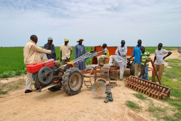 Par le Mifa, BOA Togo va monter à 7 milliards FCFA ses crédits au secteur agricole en 2020