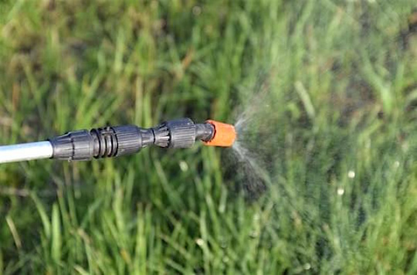 Le glyphosate est interdit, mais encore en vente sur le Net