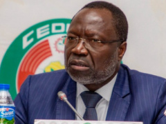 Legislative and Regional Election: ECOWAS sends a delegation to Togo