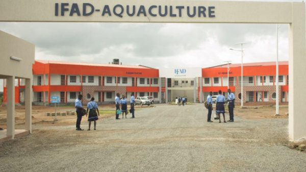 Togo : la date de clôture des inscriptions aux IFAD repoussée au 22 juillet