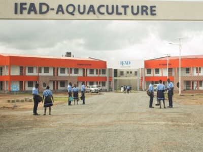 togo-la-date-de-cloture-des-inscriptions-aux-ifad-repoussee-au-22-juillet