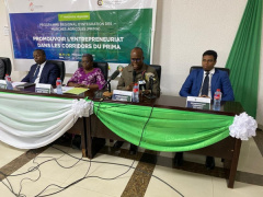 Benin and Togo Unite to Enhance Cross-Border Agricultural Entrepreneurship