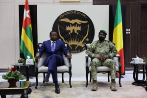 Afrobarometer: 54% of Togolese Want Togo to Join Sahel Alliance