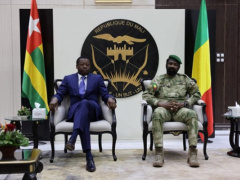 Afrobarometer: 54% of Togolese Want Togo to Join Sahel Alliance