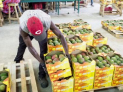 Togo is the second-largest African exporter of organic foods to the European Union