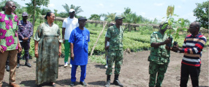 Togo : distribution de pr&egrave;s de 400 000 plants pour soutenir la relance des fili&egrave;res caf&eacute; et cacao