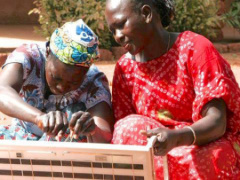 Togo : 3,000 local technicians to be trained and accredited under CIZO scheme