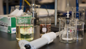 Coronavirus : A la recherche de solution, l&rsquo;Universit&eacute; de Lom&eacute; se tourne vers la m&eacute;decine traditionnelle