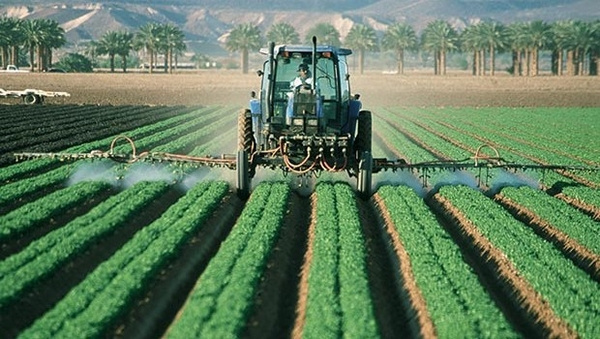 Agriculture: Ten Togolese entrepreneurs apply for funds to build up their capacities in Cape Coast at the 15th general assembly of RUFORUM