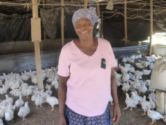 Togo: Microfinance sub-sector recorded an increase by 10.1% for deposits and 10% for loans