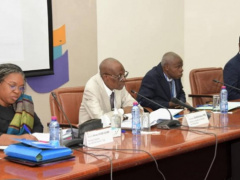 Togo-World Bank: Lomé hosts meeting over partnership, chaired by Sandra Johnson