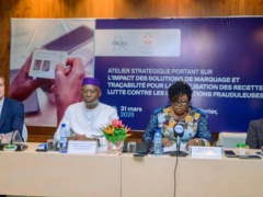 Togo: Automated Marking System Generates CFA35.8 Billion Over Five Years