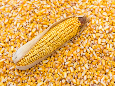 togo-food-production-up-in-2022