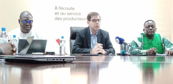 Coton au Togo : record "historique" de rendement et vent d&rsquo;espoir &agrave; la NSCT