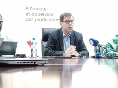 coton-au-togo-record-historique-de-rendement-et-vent-d-espoir-a-la-nsct