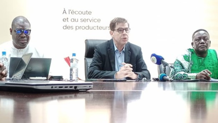 coton-au-togo-record-historique-de-rendement-et-vent-d-espoir-a-la-nsct