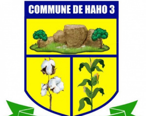 Decentralization: Haho 3 mobilized CFA157 million in revenues in 2023