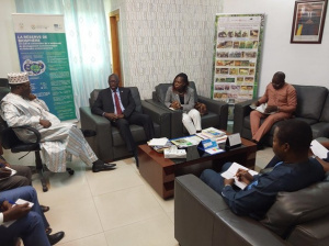 Togo : la Banque de D&eacute;veloppement du Mali veut financer des projets environnementaux