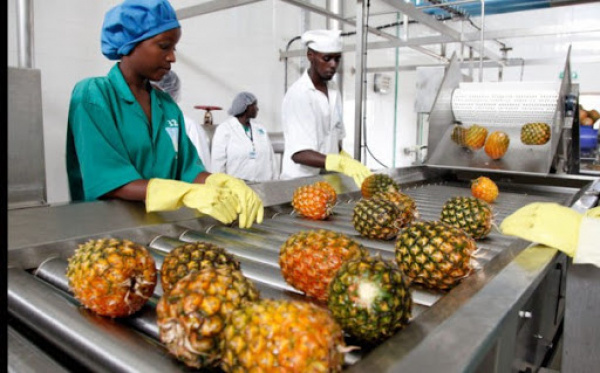 Movement restrictions to contain Covid-19 threaten more than 81 million jobs in West Africa’s food sector, two million in Togo