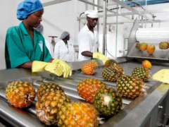 Movement restrictions to contain Covid-19 threaten more than 81 million jobs in West Africa’s food sector, two million in Togo