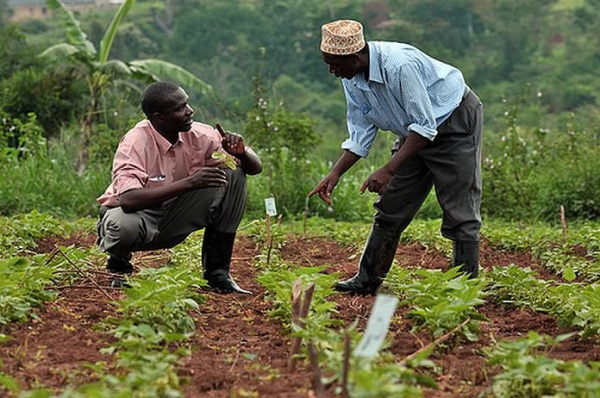 Togo: Stakeholders of cashew, shea, and soya sectors start 4-day entrepreneurship workshop in Kara