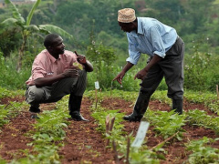 Togo: Stakeholders of cashew, shea, and soya sectors start 4-day entrepreneurship workshop in Kara