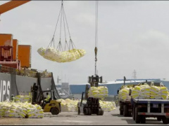 In 2019, Togo’s food import bill was CFA158 billion