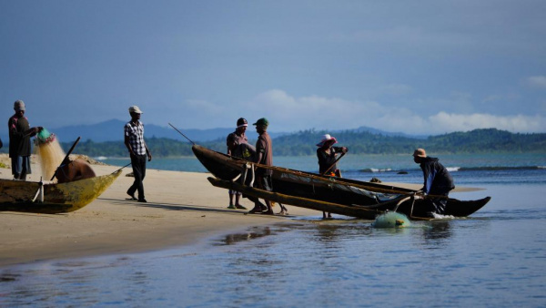 The West African States are planning a joint strategy to develop the fishery sector