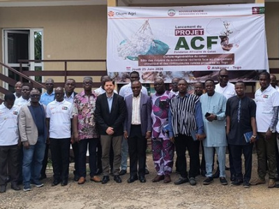 durabilite-de-la-filiere-coton-la-nsct-mise-sur-l-agriculture-regeneratrice