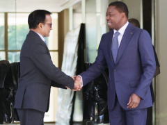 Togo and Mauritius look to tighten their economic relationship