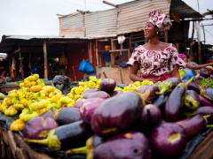 Togo: Performance in the trade sector was up in July