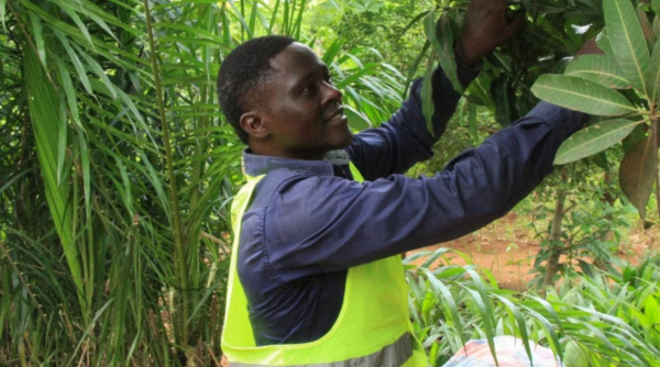 Togo : une Inspection générale de l’Environnement pour renforcer la gouvernance écologique