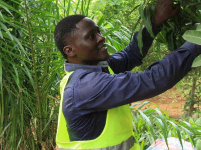 togo-une-inspection-generale-de-l-environnement-pour-renforcer-la-gouvernance-ecologique