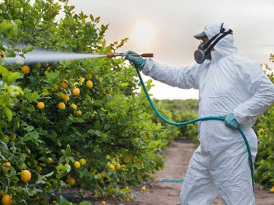 pesticide-misuse-threatens-togo-s-farm-exports-fao-warns