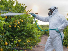 pesticide-misuse-threatens-togo-s-farm-exports-fao-warns