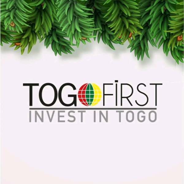 Retrouvez d&eacute;sormais Togo First sur LinkedIn !